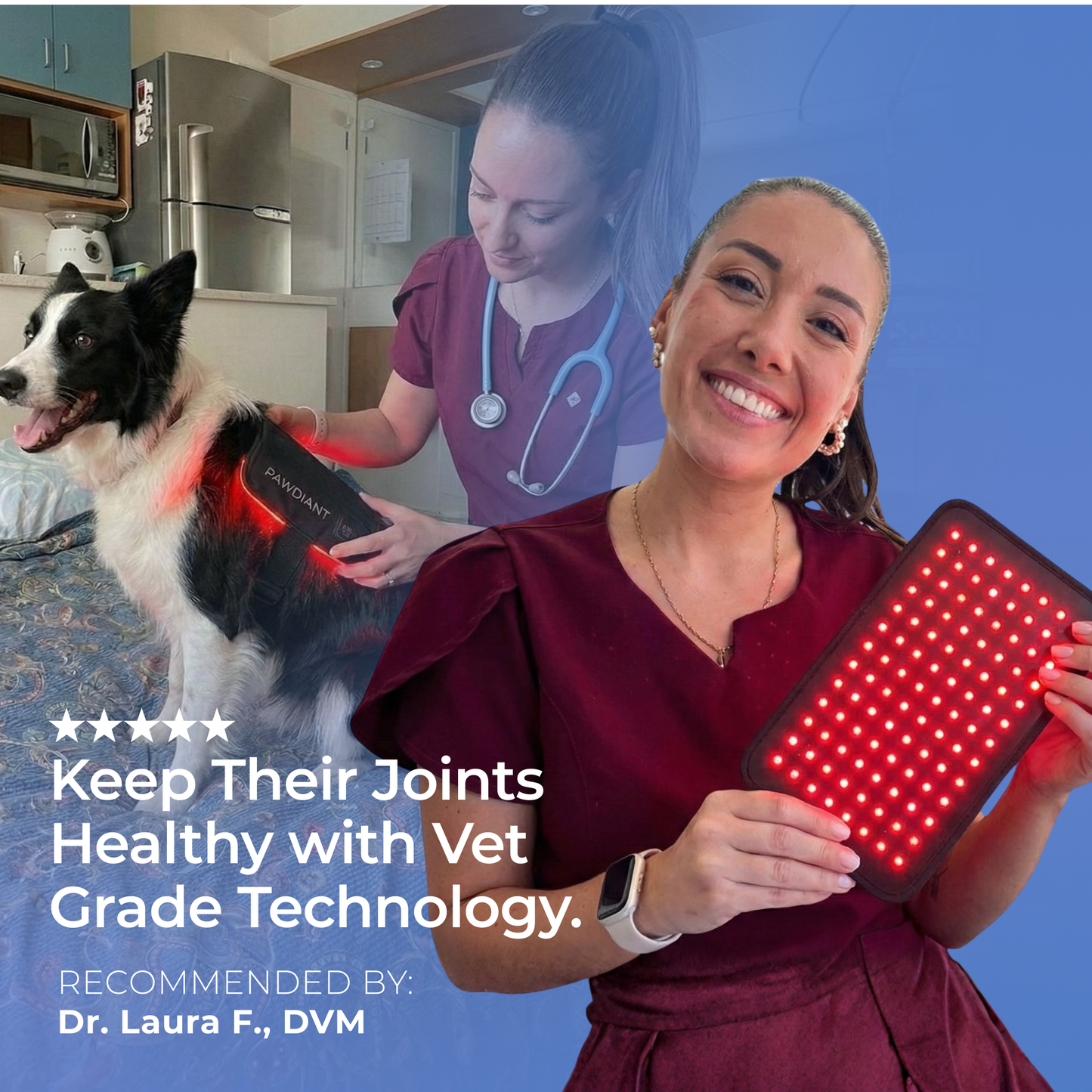 Pawdiant™ Red Light Belt