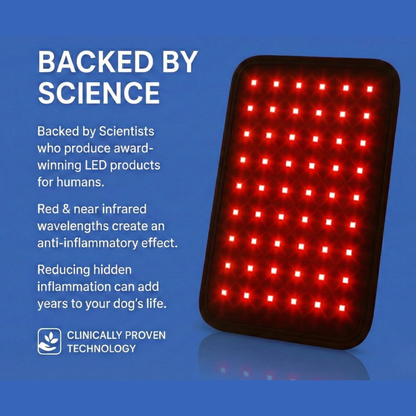 Pawdiant™ Red Light Belt