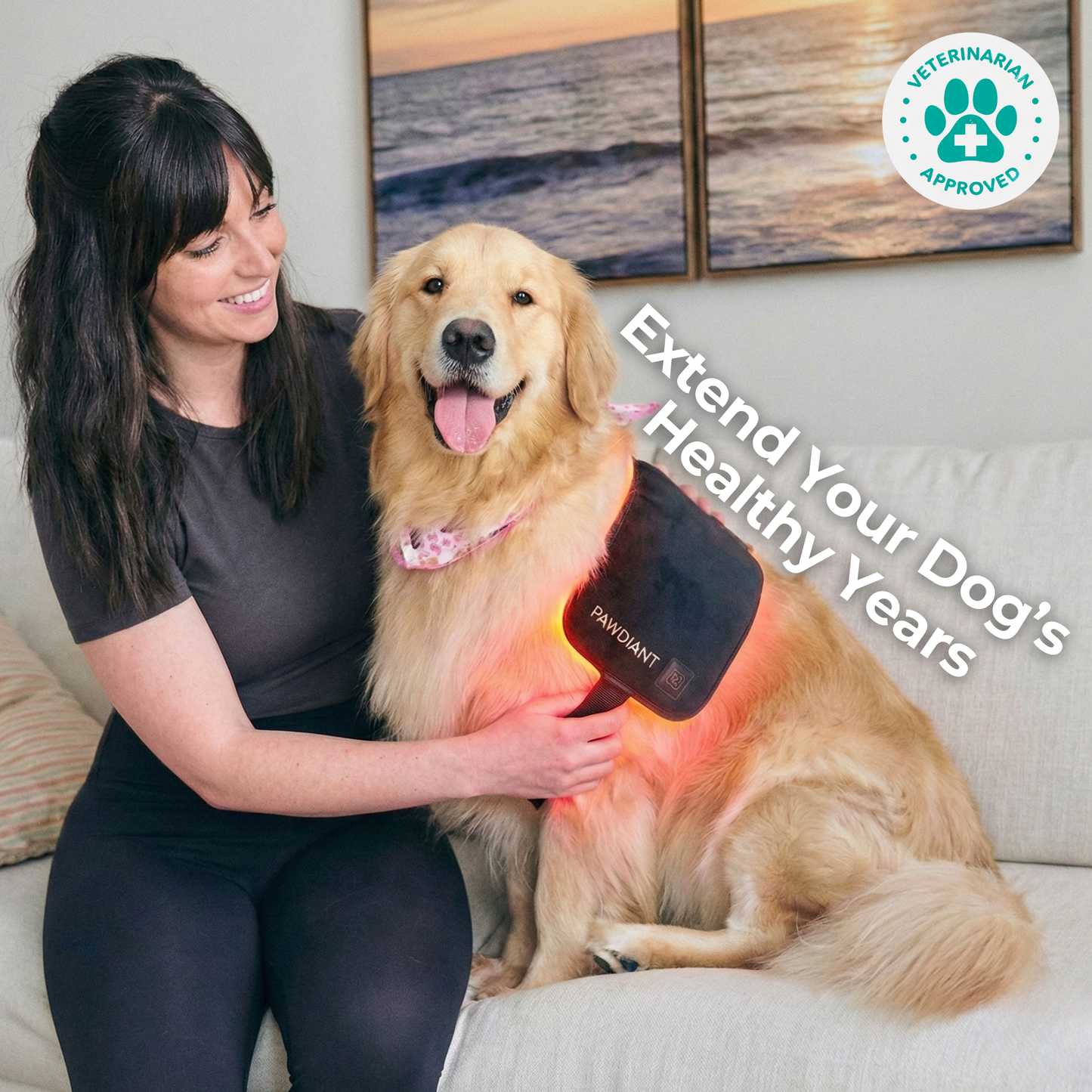 Pawdiant™ Red Light Belt